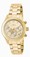 Invicta Gold Dial Stainless Steel Band Watch #19217 (Women Watch)