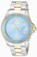 Invicta Metallic Blue Dial Uni-directional Rotating Gold-plated With A Blue T Band Watch #22060 (Men Watch)