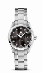 Omega Seamaster Aqua Terra Quartz Teak Gray Dial With Diamond Date Stainless Steel Watch# 231.10.30.60.56.001 (Women Watch)