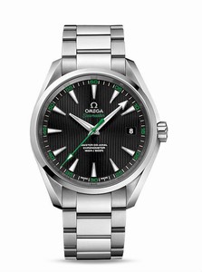 Omega Seamaster Aqua Terra Master Co-Axial Date Stainless Steel (41.5mm) Watch# 231.10.42.21.01.004 (Men Watch)