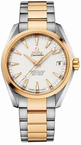 Omega Seamaster Aqua Terra Master Co-Axial Chronometer Date 18k Yellow Gold and Stainless Steel (38.5mm) Watch# 231.20.39.21.02.002 (Men Watch)