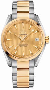 Omega Seamaster Aqua Terra Master Co-Axial Automatic Chronometer Date 18k Yellow Gold and Stainless Steel (38.5mm) Watch# 231.20.39.21.08.001 (Men Watch)
