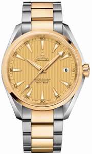 Omega Seamaster Aqua Terra Master Co-Axial Automatic Chronometer Date 18k Yellow Gold and Stainless Steel Watch# 231.20.42.21.08.001 (Men Watch)