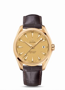 omega Seamaster Aqua Terra Master Co-Axial Chronometer 18k Yellow Gold Case Brown Leather Watch# 231.53.42.21.08.001 (Men Watch)