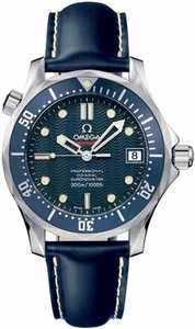 Omega Seamaster Series Watch # 2922.80.91 (Men's Watch)