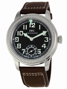Iwc Mechanical Hand-wind Stainless Steel Watch #IW325401 (Men Watch)